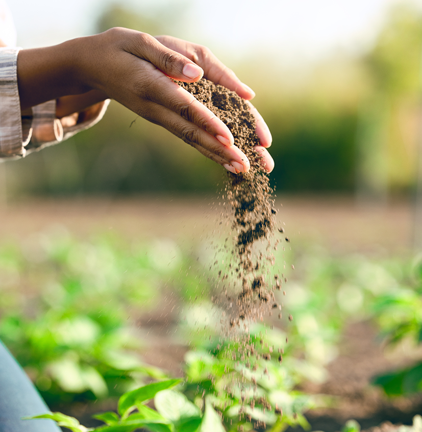 improving coimmunities - sustainability